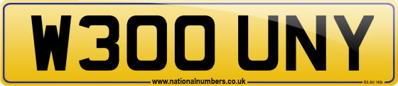 W300 UNY
