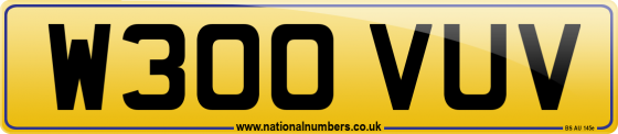 W300 VUV