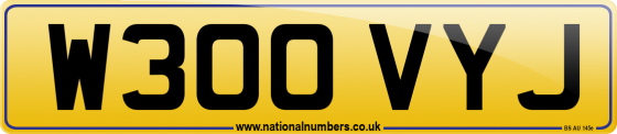 W300 VYJ