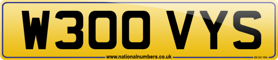 W300 VYS