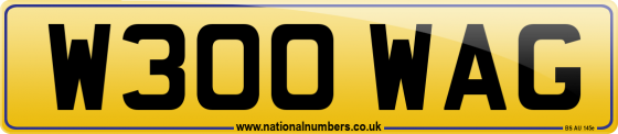 W300 WAG