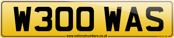 W300 WAS