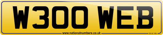 W300 WEB