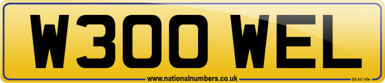 W300 WEL