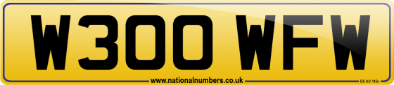 W300 WFW