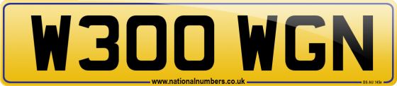 W300 WGN