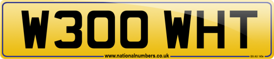 W300 WHT