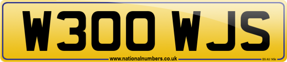 W300 WJS