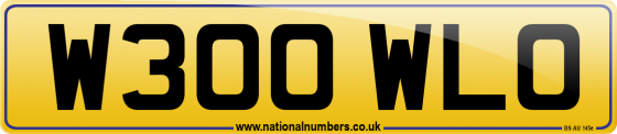 W300 WLO