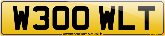 W300 WLT