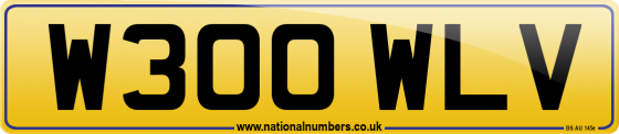 W300 WLV