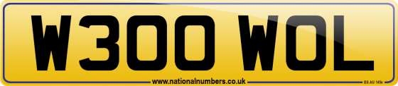 W300 WOL