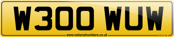 W300 WUW