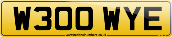 W300 WYE