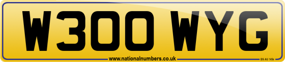 W300 WYG