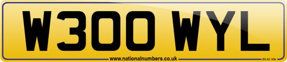 W300 WYL