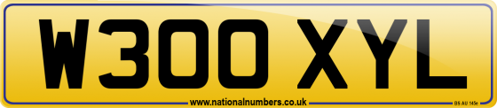 W300 XYL