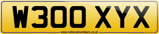 W300 XYX