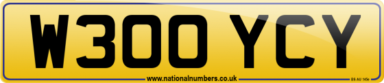 W300 YCY