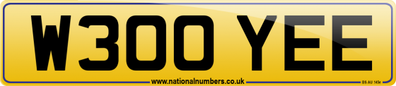 W300 YEE