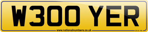 W300 YER