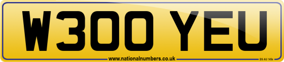 W300 YEU