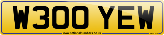 W300 YEW