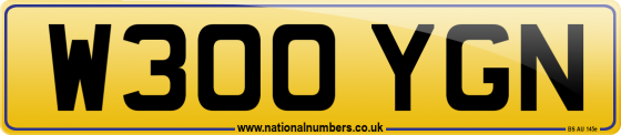 W300 YGN