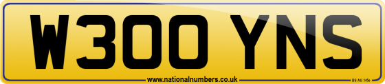 W300 YNS