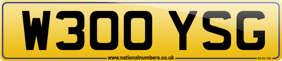 W300 YSG