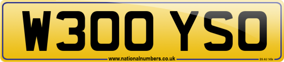 W300 YSO