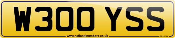 W300 YSS