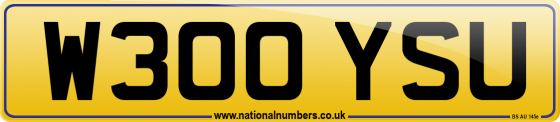 W300 YSU
