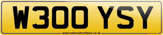 W300 YSY