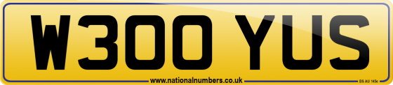 W300 YUS