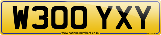 W300 YXY