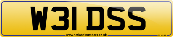 W31 DSS
