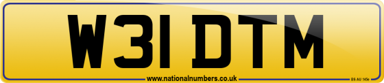 W31 DTM