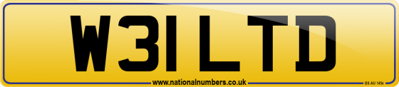 W31 LTD