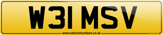 W31 MSV