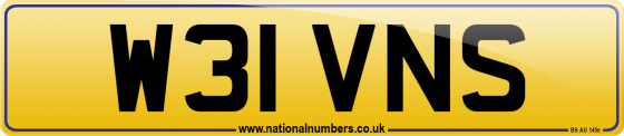 W31 VNS