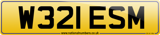 W321 ESM