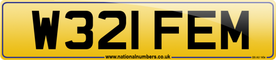 W321 FEM