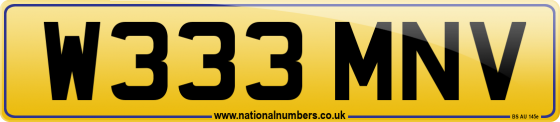 W333 MNV