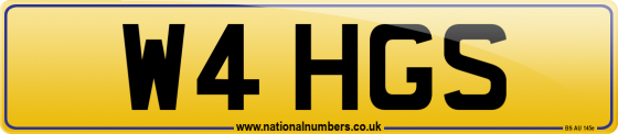 W4 HGS