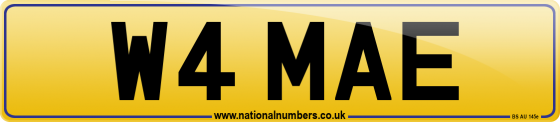 W4 MAE