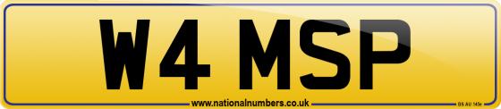 W4 MSP