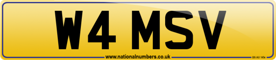 W4 MSV