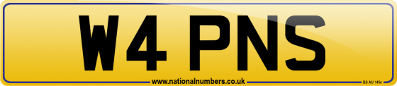 W4 PNS