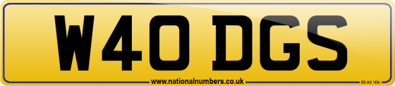 W40 DGS